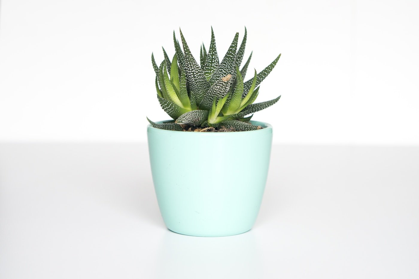 Cache-pot texturé